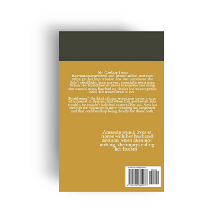 My Cowboy Hero Amanda Stuntz - Salient Books