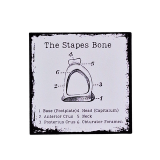 The Stapes Bone Sticker