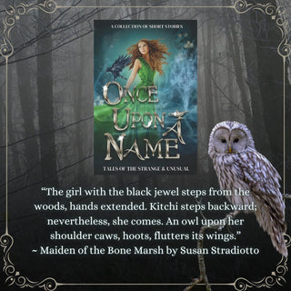 Once Upon a Name Ashley Steffenson and other authors - Salient Books
