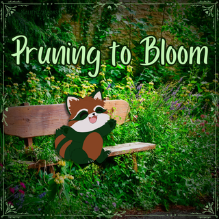 Pruning to Bloom