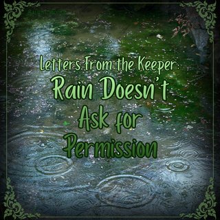 Rain Doesn't Ask for Permission